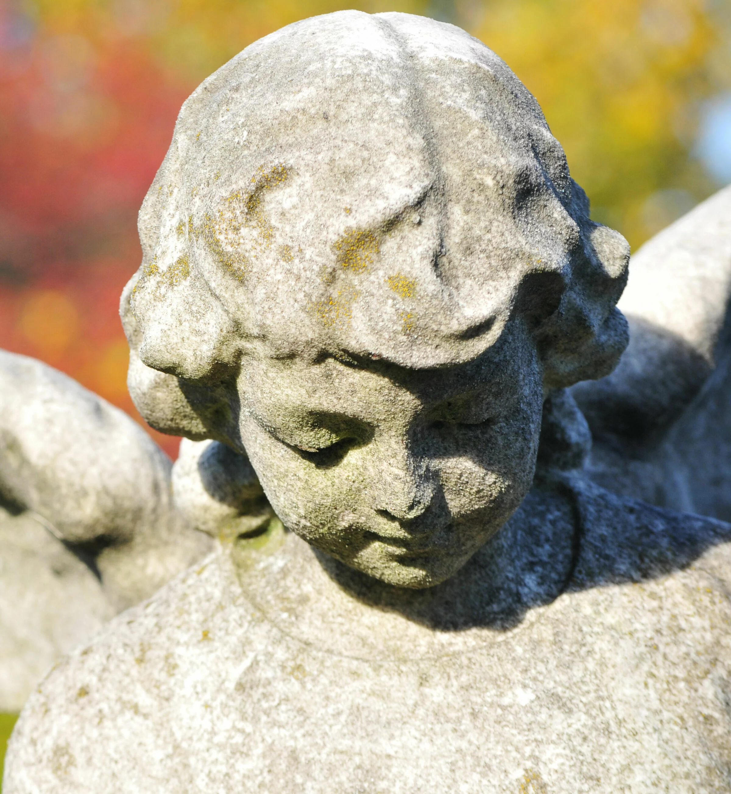 Steinfigur eines Engels mit geschlossenen Augen und ausgebreiteten Flügeln, die auf einer Begräbnisstätte steht, vor einem Hintergrund aus bunten Herbstblättern.